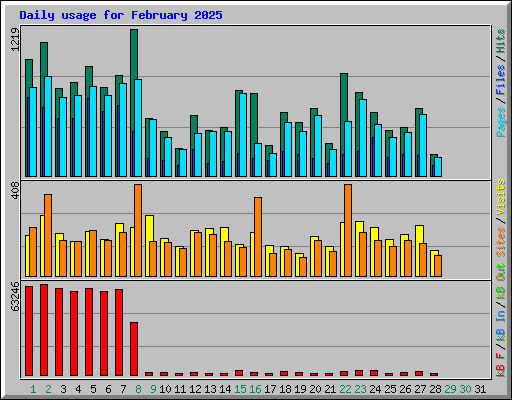 Daily usage for February 2025