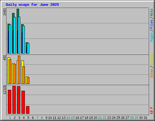 Daily usage for June 2025