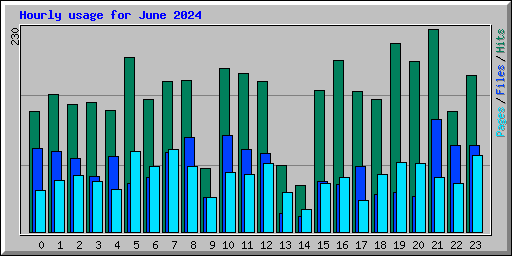 Hourly usage for June 2024