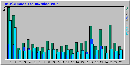 Hourly usage for November 2024