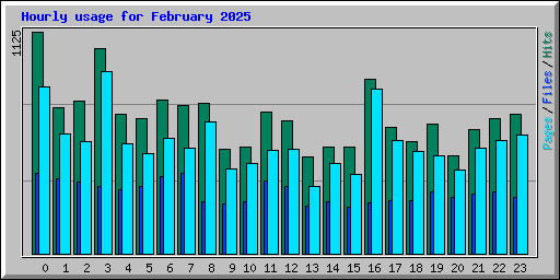 Hourly usage for February 2025