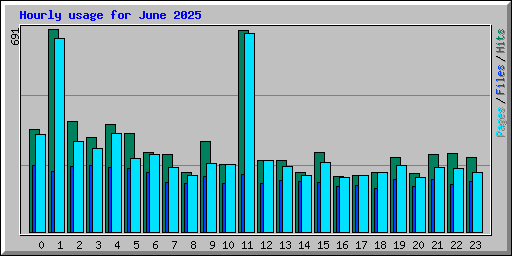 Hourly usage for June 2025