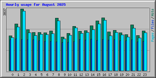 Hourly usage for August 2025