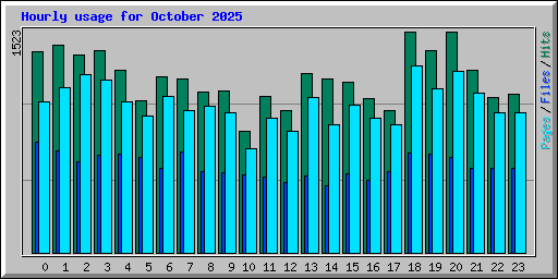Hourly usage for October 2025