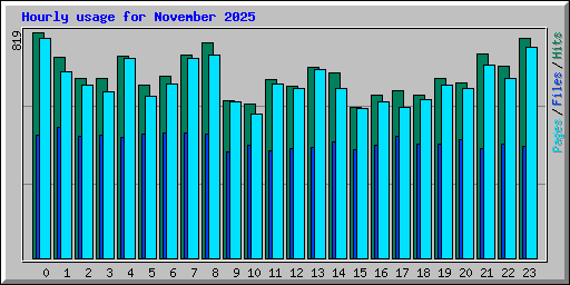 Hourly usage for November 2025