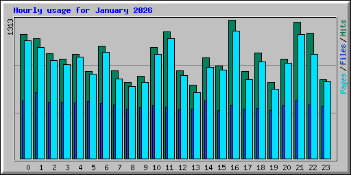 Hourly usage for January 2026