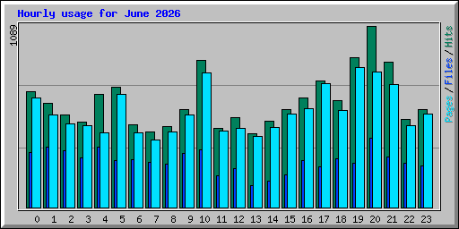 Hourly usage for June 2026