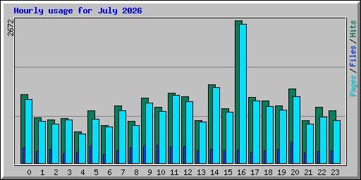 Hourly usage for July 2026