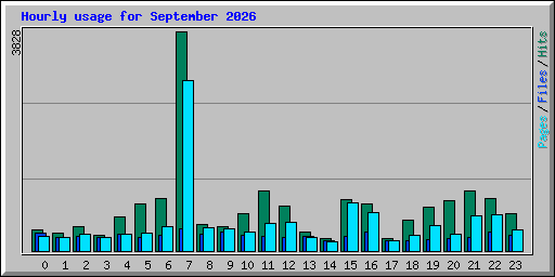 Hourly usage for September 2026