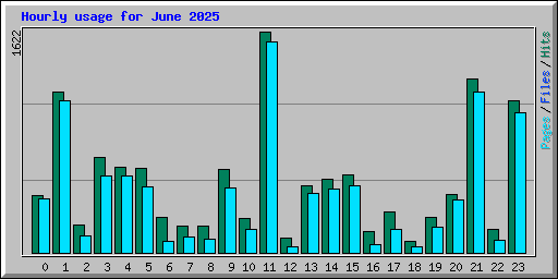 Hourly usage for June 2025
