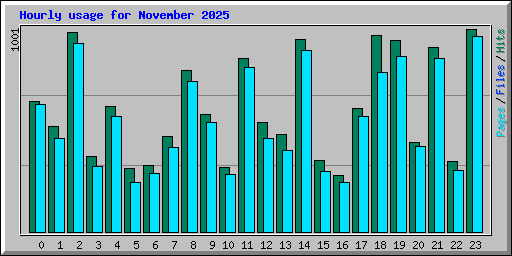 Hourly usage for November 2025