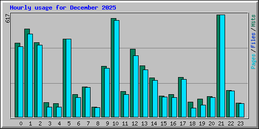 Hourly usage for December 2025