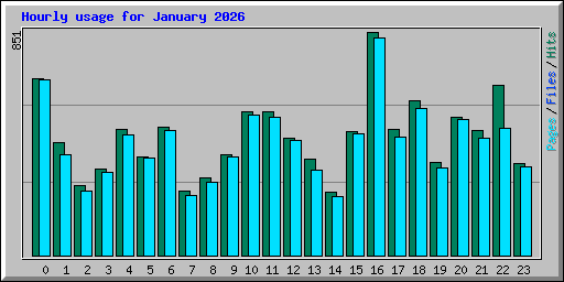 Hourly usage for January 2026