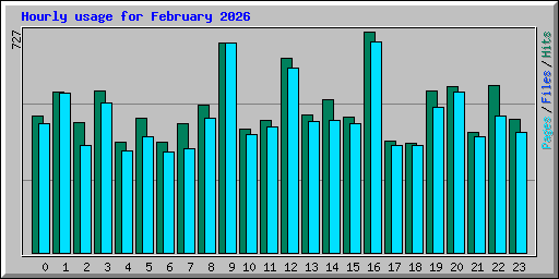 Hourly usage for February 2026