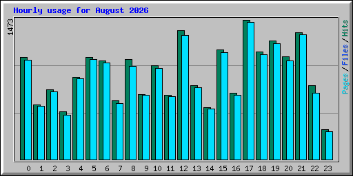 Hourly usage for August 2026